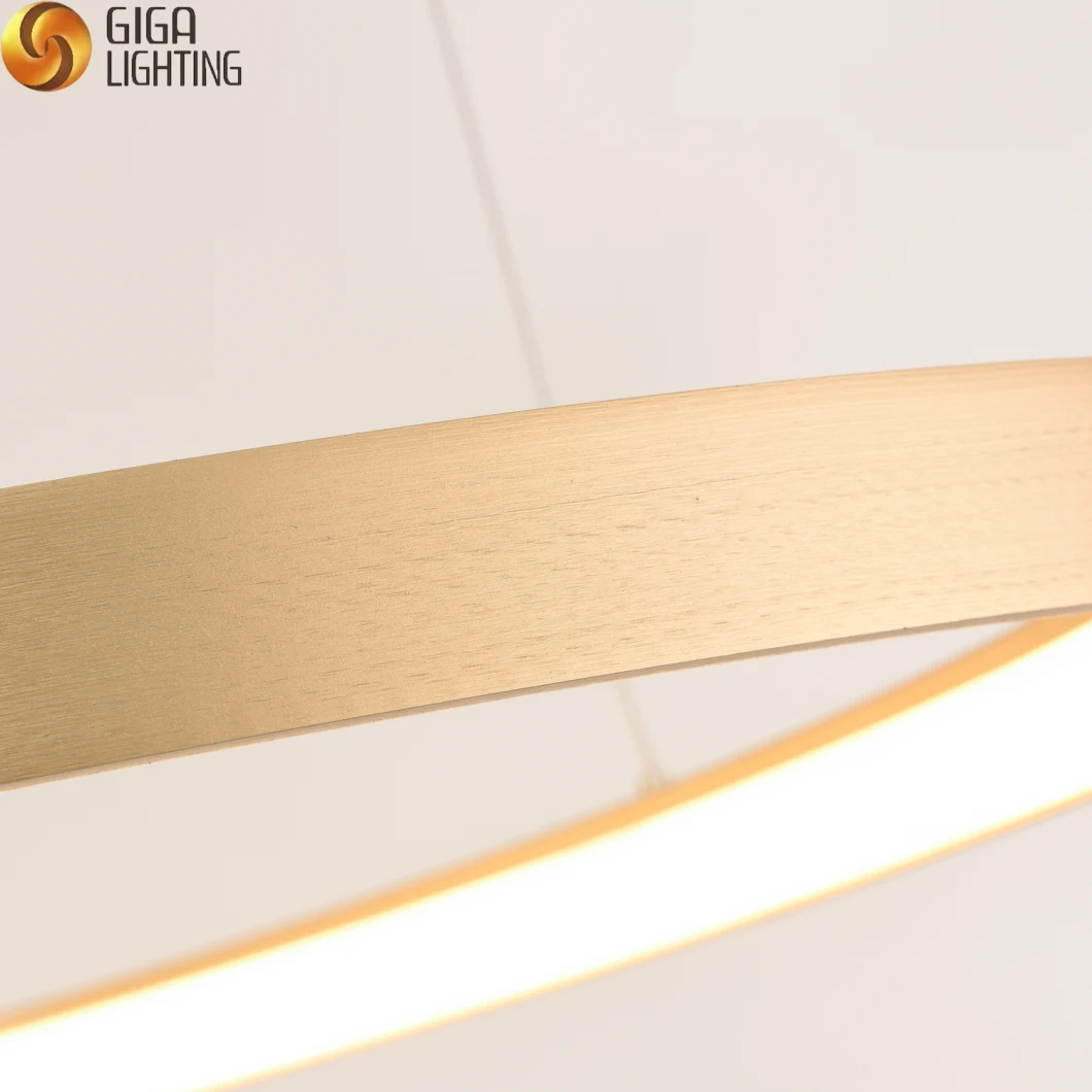 Modern Nordic LED Interior Lighting Golden Brushed Ceiling Lamp LED Ceiling Light for Living Room