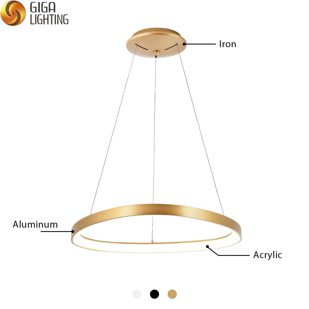 Modern Nordic LED Interior Lighting Golden Brushed Ceiling Lamp LED Ceiling Light for Living Room